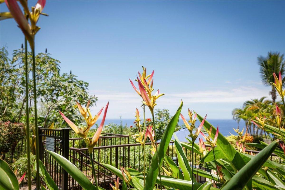 Kona Westwind 1 New! Quiet Ocean-View 1St Floor | Patio | Pool Villa Kailua-Kona Luaran gambar