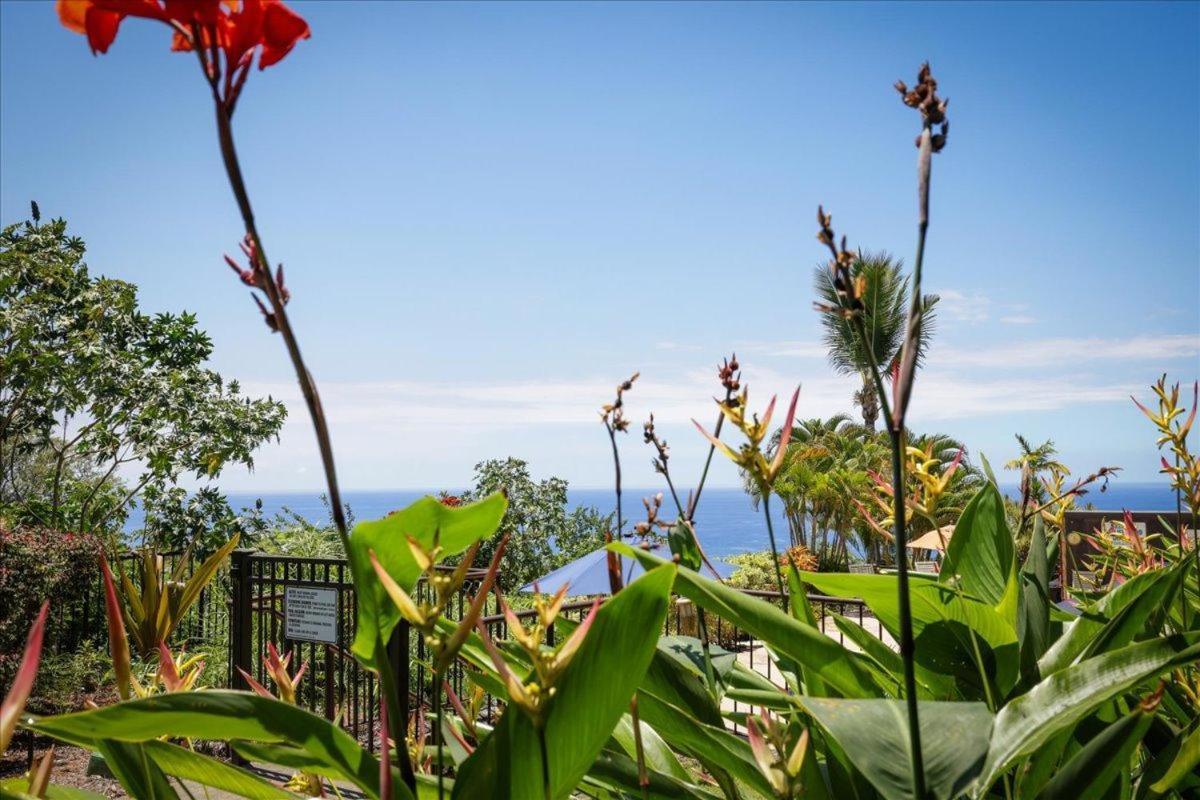 Kona Westwind 1 New! Quiet Ocean-View 1St Floor | Patio | Pool Villa Kailua-Kona Luaran gambar